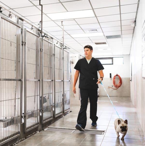 Pet Lodging Lakeland, FL Cleveland Heights Animal Hospital