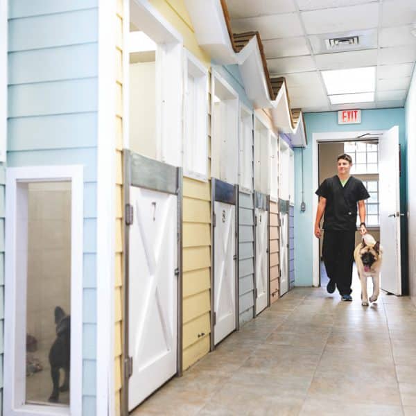 Pet Lodging Lakeland, FL Cleveland Heights Animal Hospital